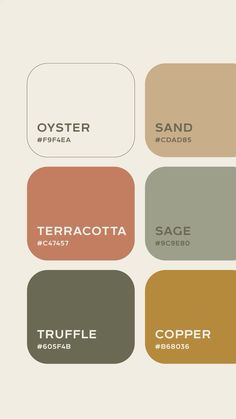 Cotton Color Palette, Terracotta Color Palette Kitchen, Boho Modern Color Palette, Terracotta Sage Color Palette, Colour Palette Terracotta, Warm Interior Color Palette, September Colour Palette, Small Bathroom Decor Ideas On A Budget Color Schemes, Safe Green Color Palette