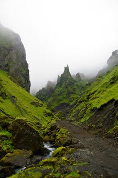 a small stream running through a lush green mountain valley with moss growing on the rocks