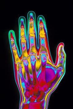 an image of a hand that is multicolored