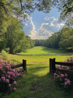 an open field with pink flowers in the foreground and a wooden fence on the other side