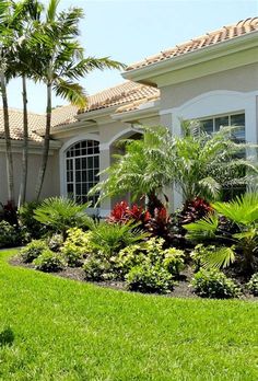 a house with lots of tropical plants in front of it