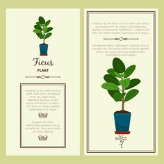 two vertical banners with plants in pots