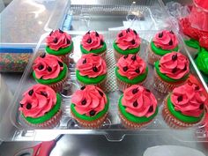 cupcakes with pink and green frosting are in a plastic container on the counter