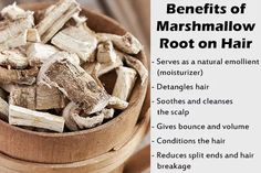 Find out how to use marshmallow root as a hair conditioner and mask to add volume, soothe the scalp, reduce hair breakage, and more. Marshmallow Root Benefits, Slippery Elm Benefits, Stop Hair Breakage, Vitamins C, Marshmallow Root, Herbal Apothecary, Herbs For Health, Diy Hair Care, Hair Food