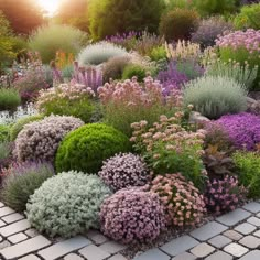 a garden filled with lots of different types of flowers and plants on top of a brick walkway