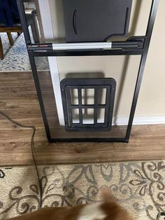 a dog is standing in front of a tv and door to the living room area