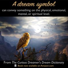 an owl sitting on top of a tree branch with the words dream symbol above it