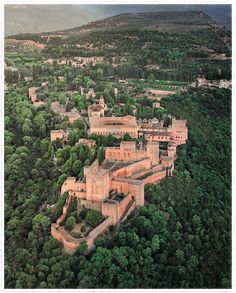 an aerial view of a castle surrounded by trees