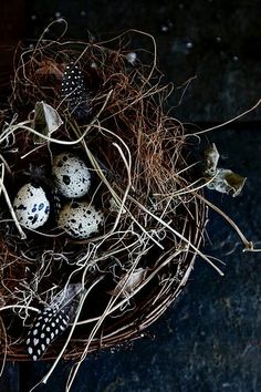 a bird nest filled with eggs on top of a table