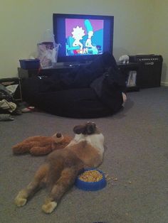 a stuffed animal sitting on the floor in front of a flat screen tv, with another stuffed animal nearby