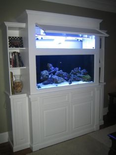 an aquarium in the corner of a living room with built - in bookshelves