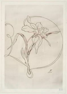 a drawing of a flower in a circle