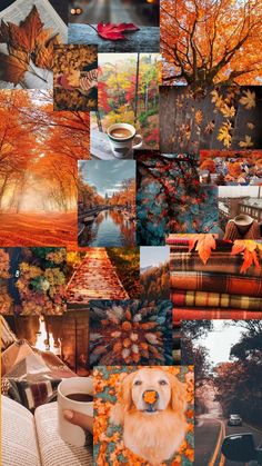 a collage of photos with autumn colors