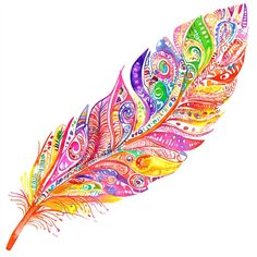 a colorful feather on a white background with lots of colors in the feathers and patterns