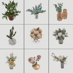 six different vases with flowers in them on a white background, each containing various plants