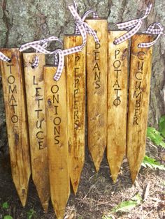 four wooden signs are tied to a tree