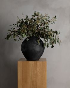 a plant in a black vase sitting on top of a wooden block