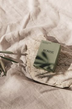 a book sitting on top of a rock next to a plant and some leaves in front of it