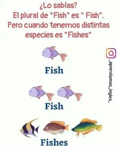 an image of different fish in spanish