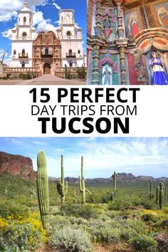 15 Perfect day trips from Tucson, including Mission San Xavier del Bac and Tonto National Forest. Things To Do In Tucson Arizona, Tuscon Arizona Hikes, Southern Arizona Travel, Things To Do In Tucson Az, Tucson Arizona Things To Do, Tucson Arizona Aesthetic, Arizona Tucson, Arizona Attractions