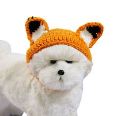 a small white dog wearing an orange knitted hat with black ears and tail, standing in front of a white background