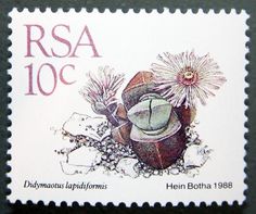 a postage stamp with an image of a flower and potted plant on it's side