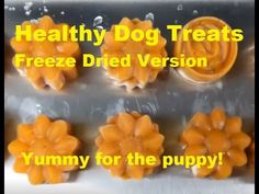 four dog treats in plastic wrappers with the words healthy dog treats freeze dried version yummy for the puppy