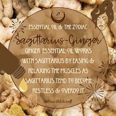 Herbs For Sagittarius, Zodiac Herbs, November Magick, Incense Magic, Herb Bath, Magick Oil, Zodiac Aesthetic, Herbal Witch, Birth Signs