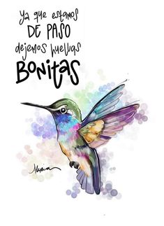 a watercolor painting of a hummingbird with spanish words