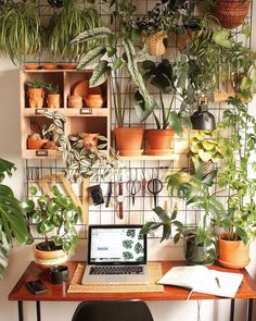 a laptop computer sitting on top of a wooden desk covered in potted plants and greenery