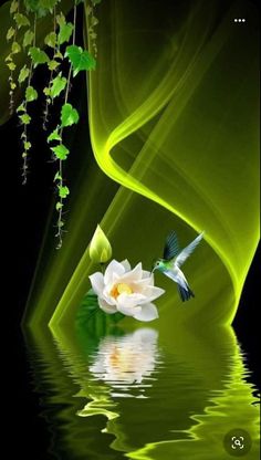 a white flower floating on top of water next to a green wall with vines and leaves