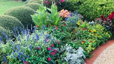 a garden filled with lots of different types of flowers