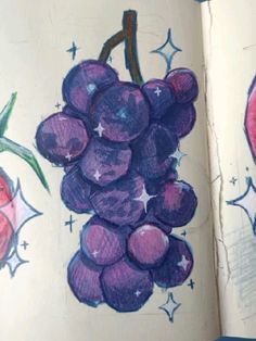 an open book with drawings of grapes on it