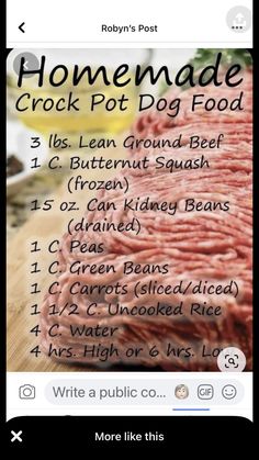 the recipe for homemade crock pot dog food is displayed on an instagram page