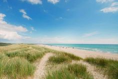 people are walking on the beach near the water and grass in front of the ocean