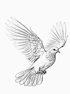 a black and white drawing of a bird flying