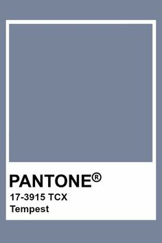 pantone's gray color is shown with the words tempest on it