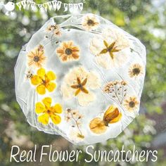 an image of real flower suncatchers hanging from a glass window with the words real flower sun catchers on it