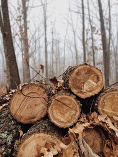 logs stacked on top of each other in the woods