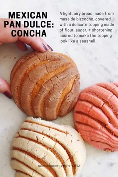 mexican pan dulce concha on a white marble countertop with text overlay