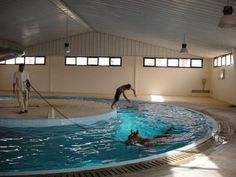 an indoor swimming pool with people in it and one person jumping into the water to swim