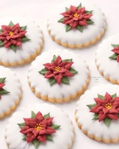 decorated cookies with red and green poinsettis are arranged on a white surface