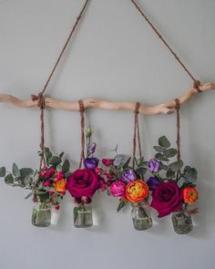 three vases with flowers are hanging from a branch and some glass jars on the wall