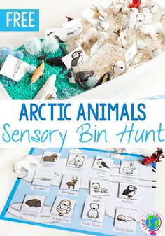 an arctic animals activity bin is shown with text