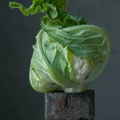 a head of lettuce sitting on top of a wooden block