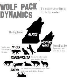 the wolf pack dynamics app on an iphone