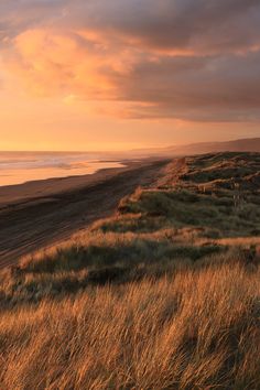 the sun is setting at the beach with tall grass