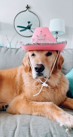 a dog wearing a pink cowboy hat on top of its head sitting on a couch