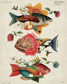 three different types of fish with flowers on them