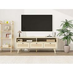 a living room with a tv and some bookshelves on the wall next to a potted plant